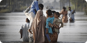 Education Fund